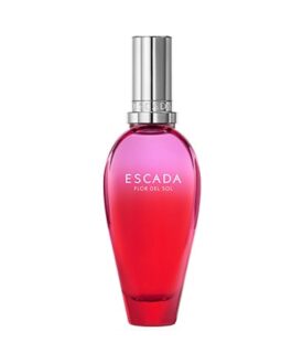 VISUEL_ESCADA